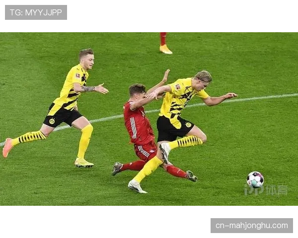 观察:德甲俱乐部在社交媒体平台的国际粉丝增长趋势